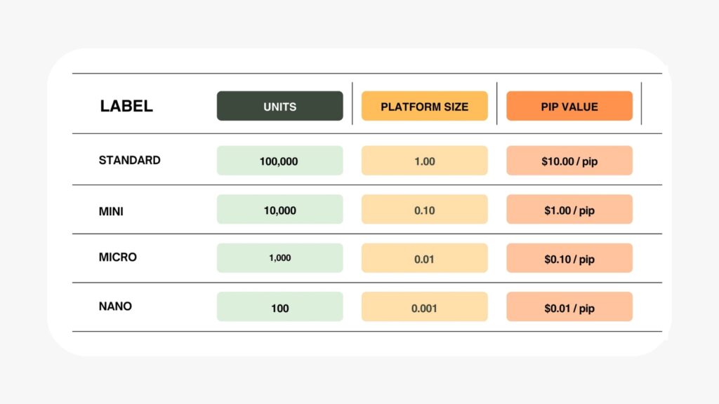 Types of Lot Size in Forex
