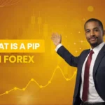 What is a Pip in Forex
