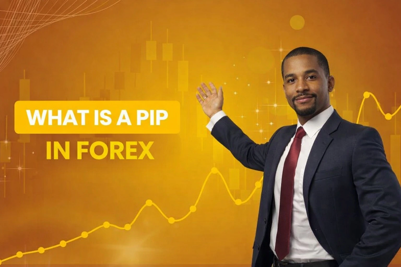 What is a Pip in Forex