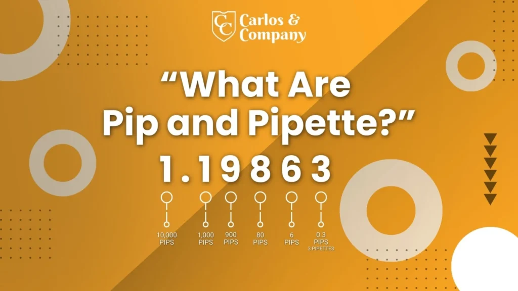 What are pip and pipette